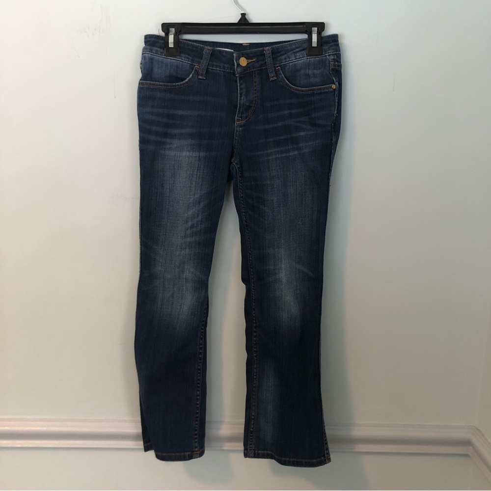 Pilcro and the Letterpress STET Blue Jeans Size 26